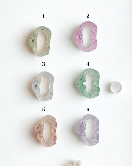 Dual-Tone Hair Clip (01 Number)